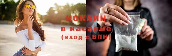 твердый Аркадак